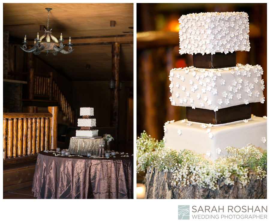 Spruce Mountain Wedding Cake